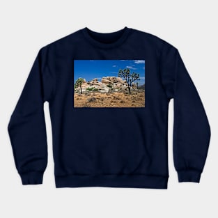 Formations  Joshus Tree Crewneck Sweatshirt